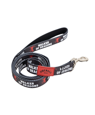 Fireball Nylon 6' Leash