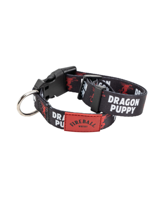 Fireball Nylon Dog Collar